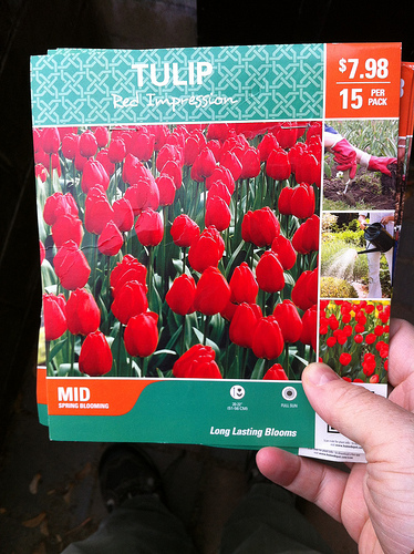 All this #bitcoin hype makes me increasingly sure that i made a wise investment this fall. Can't wait for it to pop. Tags