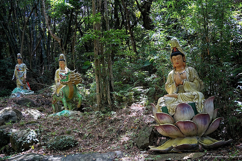 Wandering around the grounds you will find some strange characters... Tags