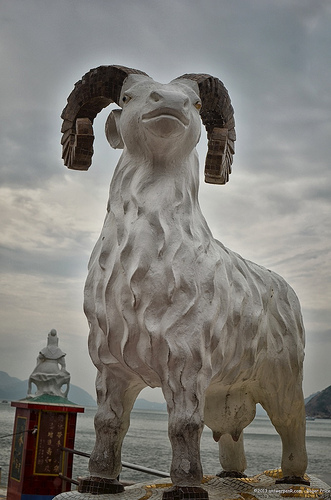 One goat to rule them all? Tags