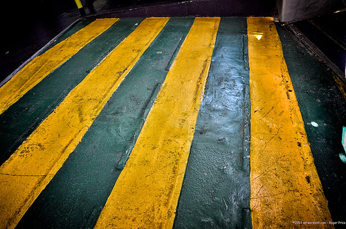 Stripey - on the ferry Tags