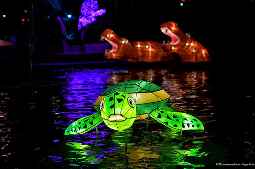 Festival happiness Tags