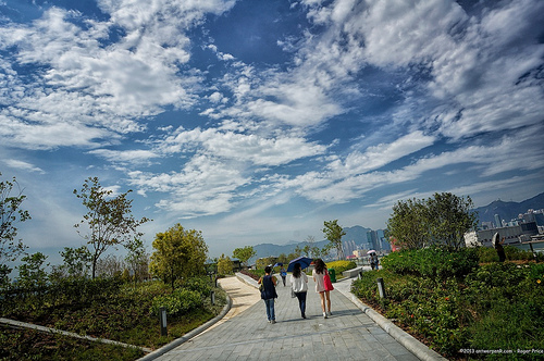 Typhoon tonight! Tags