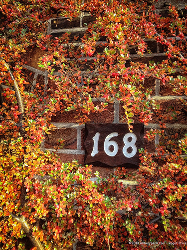 Number one six eight Tags