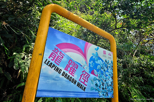 Hike of the day: leaping dragon walk to big wave bay... Tags