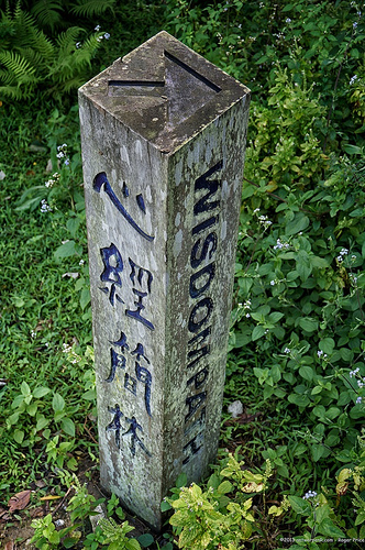 Towards the wisdom path... Tags