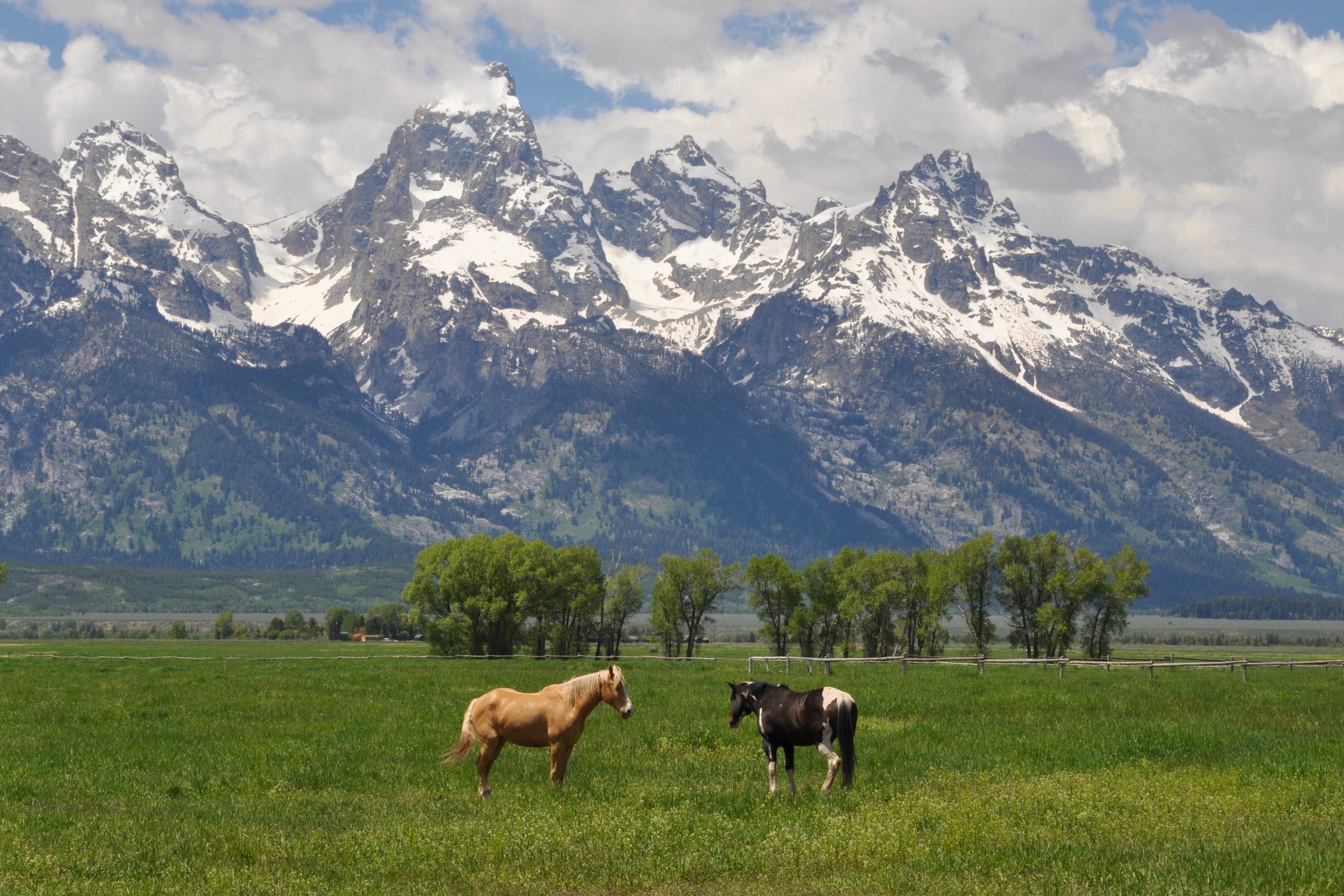 A haven for blockchain: the case for wyoming