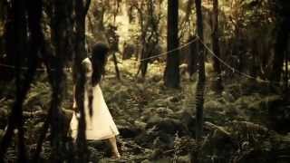 The paper kites - bloom (official music video) The paper kites - bloom (official music video)
