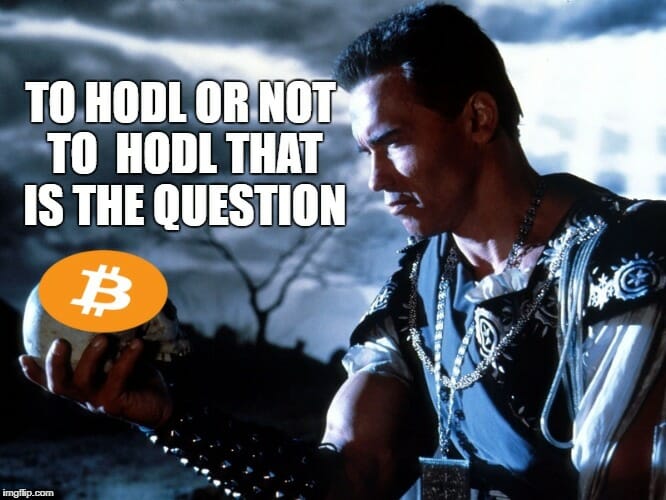 To hodl or not to hodl? Hodl
