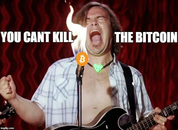 You cant kill the bitcoin!