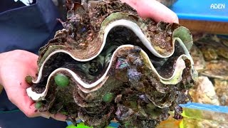 Street food in japan: giant clam Street food in japan: giant clam