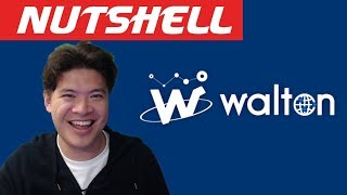 Walton coin (wtc) in a nutshell Walton coin (wtc) in a nutshell