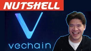 Vechain (ven) in a nutshell Vechain (ven) in a nutshell