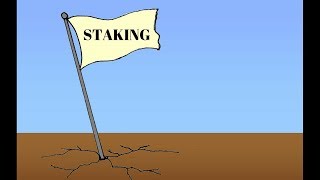 Can pure staking platforms work? Poly ai & teno withdraws enabled, & other ico news Can pure staking platforms work? Poly ai & teno withdraws enabled, & other ico news