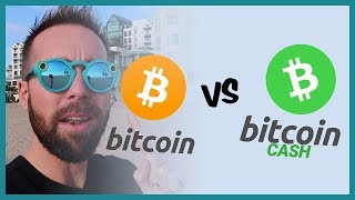 🤔 bitcoin vs bitcoin cash: should i invest? 🤔 🤔 bitcoin vs bitcoin cash: should i invest? 🤔