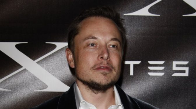 Elon musk reveals personal crypto holdings