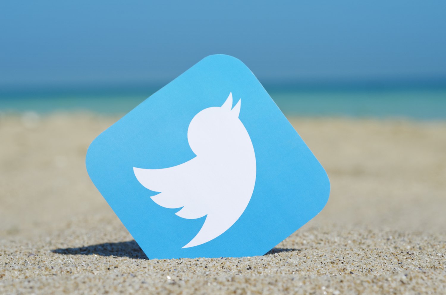 Twitter pledges action on crypto scams after account shadow bans Twitter pledges action on crypto scams after account shadow bans