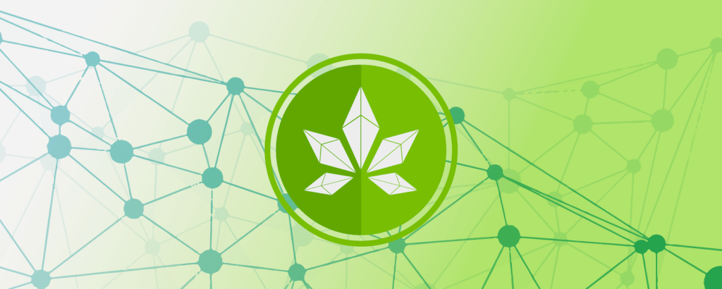 The ultimate guide to cannabis tokens Paragon, budbo