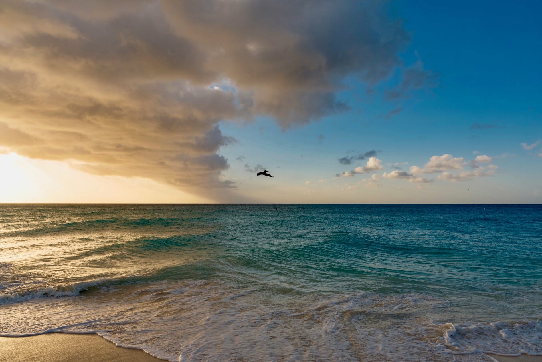 Eastern caribbean central bank to pilot bitt blockchain tech Eastern caribbean central bank to pilot bitt blockchain tech