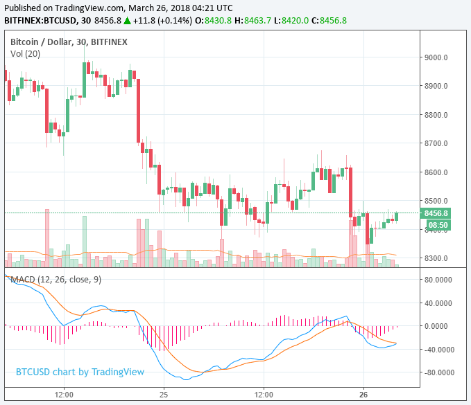 Cryptocurrency market slump extends as bitcoin remains below $8,500 Bitcoin price chart