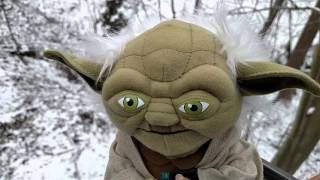 Breaking bitcoin news: yoda to pay jedi knights with bitcoin. **exclusive** Breaking bitcoin news: yoda to pay jedi knights with bitcoin. **exclusive**