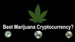 Best marijuana coin in cryptocurrency? Pot, thc, cann Best marijuana coin in cryptocurrency? Pot, thc, cann