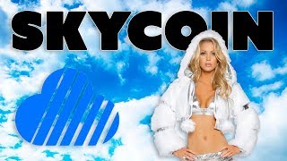 Skycoin (sky) review - better than bitcoin, tron and substratum? Skycoin (sky) review - better than bitcoin, tron and substratum?