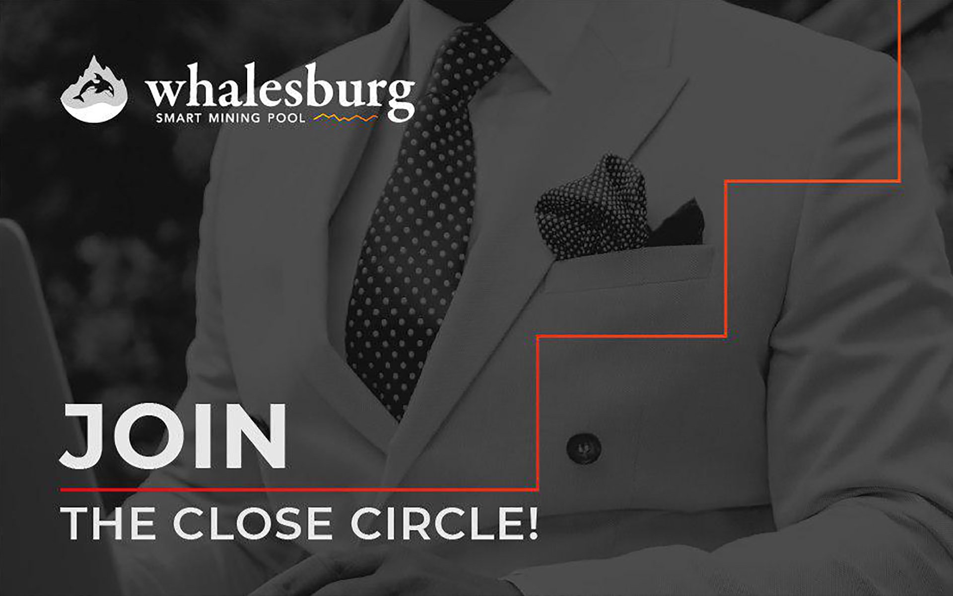 Whalesburg effect: mining platform causes stir in crypto community Whalesburg effect: mining platform causes stir in crypto community