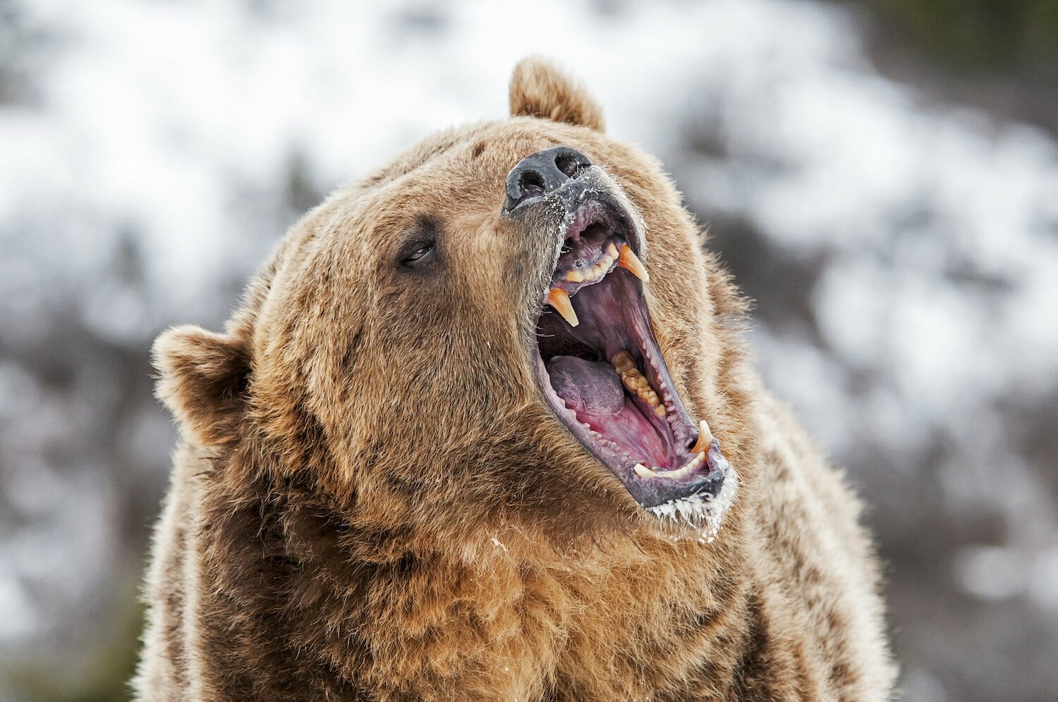 Bear market 'largely over,' crypto hedge fund manager claims Bear market 'largely over,' crypto hedge fund manager claims