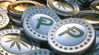 Will 2018 be the year of marijuana coins? (cann, thc, pot) Will 2018 be the year of marijuana coins? (cann, thc, pot)