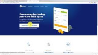 Making money with storj Making money with storj