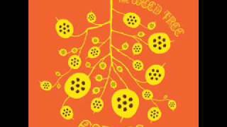 Espers - rosemary lane Espers - rosemary lane