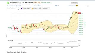 Paypeer (payp) price alert, chart & news on bitscreener. Com Paypeer (payp) price alert, chart & news on bitscreener. Com