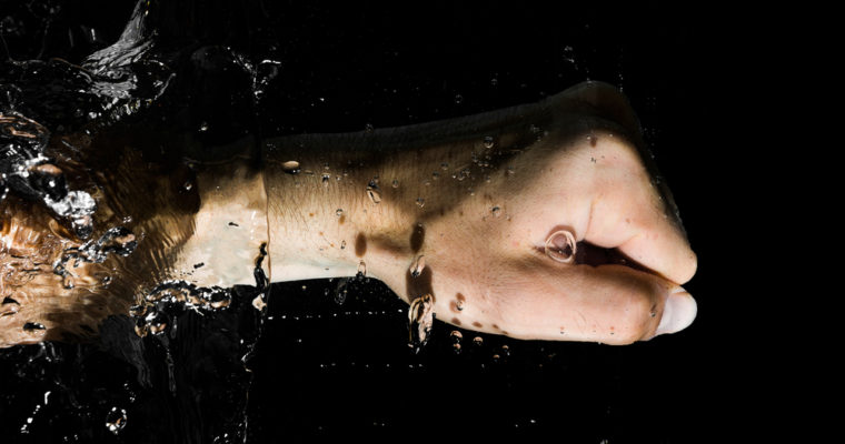 Newsflash: ethereum price bursts through $800 as bulls maintain momentum