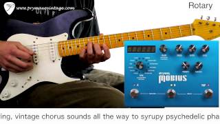 Strymon mobius Strymon mobius