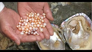 Lucky woman opened a clam and found these inside! Lucky woman opened a clam and found these inside!