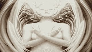 Gnosis: forbidden self discovery - a conversation with timothy hogan Gnosis: forbidden self discovery - a conversation with timothy hogan