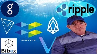 Golem project - ripple xrp goes viral - elastos ela coin - token swap scams - bibox bix Golem project - ripple xrp goes viral - elastos ela coin - token swap scams - bibox bix