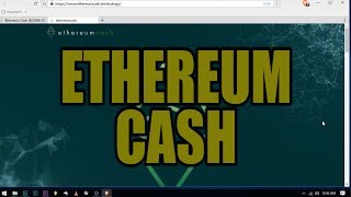 Ethereum cash (ecash) - should i invest? Or is the a pump and dump? Ethereum cash (ecash) - should i invest? Or is the a pump and dump?