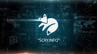 Scry info無域——towards a blockchain science of human beings Scry info無域——towards a blockchain science of human beings