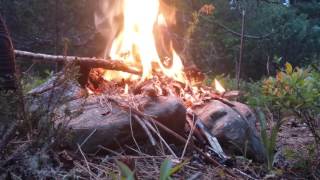 Emercoin will go to the moon...!? , ya heard it here first folks! Emc moons Emercoin will go to the moon...!? , ya heard it here first folks! Emc moons