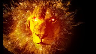 Maid safe coin. Who are they. Huge long term gains to be made. Maid safe coin. Who are they. Huge long term gains to be made.