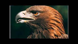 Oneroot network (rnt): advocating for new age economy while trading in the green Oneroot network (rnt): advocating for new age economy while trading in the green