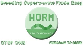 Breeding superworms made easy - step one | via healthyworm. Com Breeding superworms made easy - step one | via healthyworm. Com