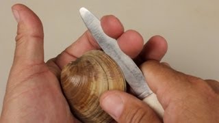 How to open clams How to open clams
