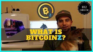 What is bitcoinz? + mining profitability & gui btcz swing wallet What is bitcoinz? + mining profitability & gui btcz swing wallet