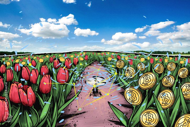 Exec of $5. 1 trln investment firm makes tired comparison of crypto to tulips Exec of $5. 1 trln investment firm makes tired comparison of crypto to tulips