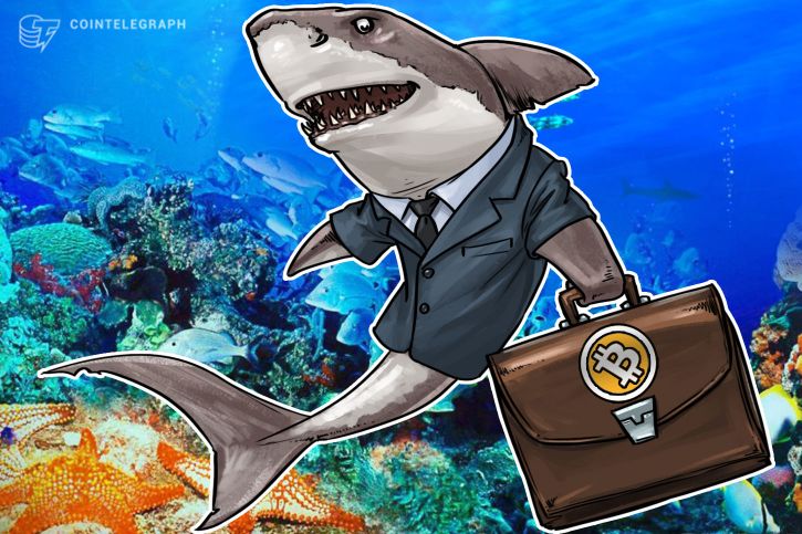 Investment advisors need to get savvy on crypto and blockchain says fintech strategist Investment advisors need to get savvy on crypto and blockchain says fintech strategist