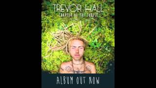 Trevor hall - obsidian (with lyrics) Trevor hall - obsidian (with lyrics)