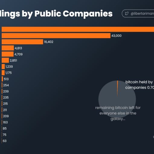 Bitcoin holdings by public companies Bitcoin holdings by public companies