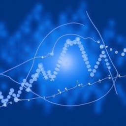 Bitcoin etfs simplify institutional exposure to crypto Comparing physically settled etfs and futures based etfs and which fits your investment mandate